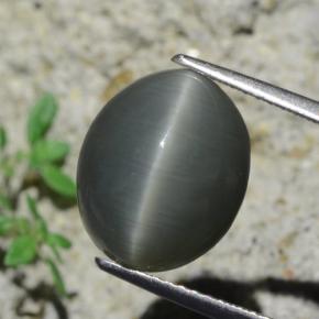 Натуральный серый quartz cat's eye 7,96 карата огранка овал, непрозрачный