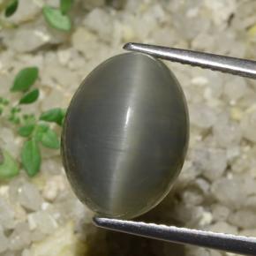 Натуральный Серо-зеленый Кварц Кошачий глаз 8,08 карата Огранка Овал, Полупрозрачный