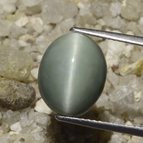 6.06ct Натуральный Средний серый Кварц Кошачий Глаз, Овал, Непрозрачный