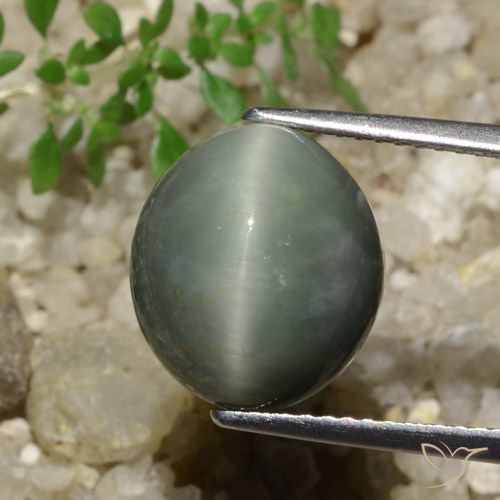7.74ct Натуральный Средний серый Кварц Кошачий Глаз, Овал, Непрозрачный