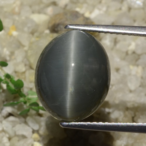 7.89 карата, натуральный Темно-серый Кварц Кошачий глаз, Огранка Овал, Непрозрачный