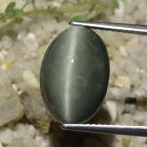 8.78 карата, натуральный Средний серый Кварц Кошачий глаз, Огранка Овал, Непрозрачный