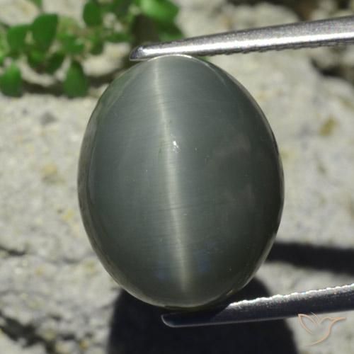 7.28ct Натуральный Бледно-зеленовато-серый Кварц Кошачий Глаз, Овал, Непрозрачный