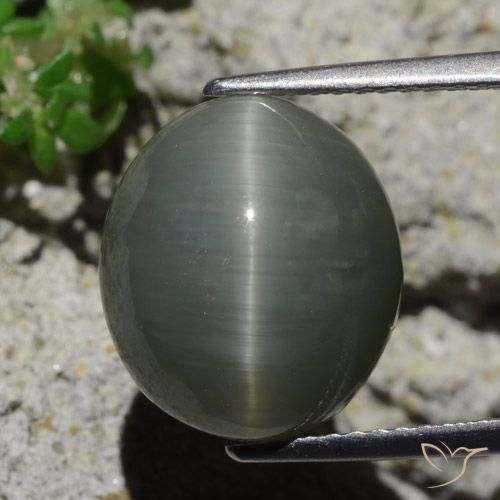 8.02ct Натуральный Бледно-зеленовато-серый Кварц Кошачий Глаз, Овал, Непрозрачный
