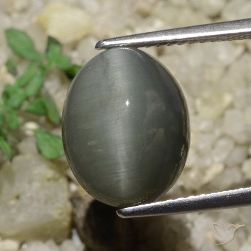 6.65ct Натуральный Средний серый Кварц Кошачий Глаз, Овал, Непрозрачный