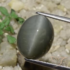 6.65 карата, натуральный Средний серый Кварц Кошачий глаз, Овал, Непрозрачный