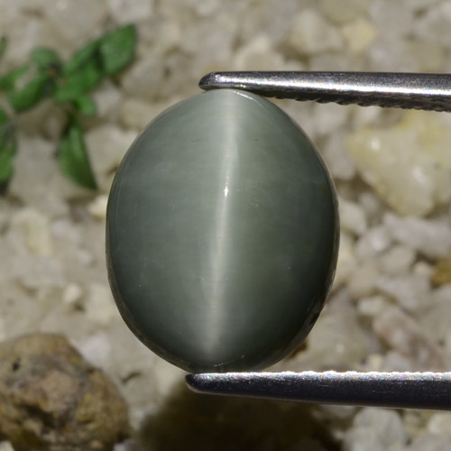 5.82 карата, натуральный Зеленовато-серый Кварц Кошачий глаз, Огранка Овал, Полупрозрачный