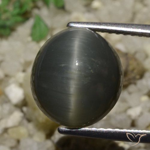 6.05ct Натуральный Стальной Серый Кварц Кошачий Глаз, Овал, Непрозрачный