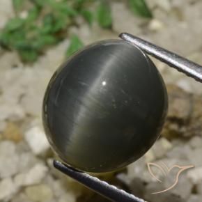 6.05 карата, натуральный Стальной Серый Кварц Кошачий глаз, Овал, Непрозрачный