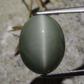 7.21 карата, натуральный Зеленовато-серый Кварц Кошачий глаз, Огранка Овал, Непрозрачный