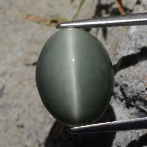 5.29 карата, натуральный Зеленый Кварц Кошачий глаз, Огранка Овал, Непрозрачный