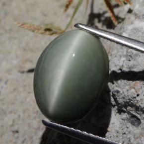 5.29 карата, натуральный Зеленый Кварц Кошачий глаз, Огранка Овал, Непрозрачный