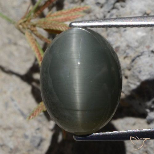 6.97ct Натуральный Темно-серый Кварц Кошачий Глаз, Овал, Непрозрачный