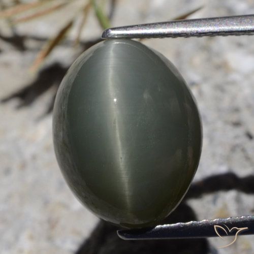 8.10ct Натуральный Темно-серый Кварц Кошачий Глаз, Овал, Непрозрачный