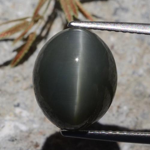 7.26 карата, натуральный Темно-серый Кварц Кошачий глаз, Огранка Овал, Непрозрачный