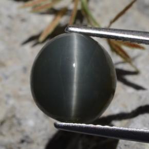 5.62 карата, натуральный Зеленый Кварц Кошачий глаз, Огранка Овал, Непрозрачный