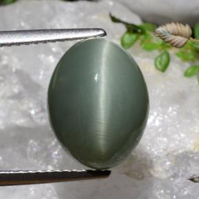 7.17 карата, натуральный Средне-глубокий зеленый Кварц Кошачий глаз, Огранка Овал, Непрозрачный