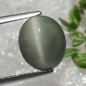 3.66 карата, натуральный Зеленый Кварц Кошачий глаз, Огранка Овал, Непрозрачный