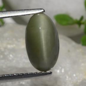 2.64 карата, натуральный Зеленый Кварц Кошачий глаз, Огранка Овал, Непрозрачный
