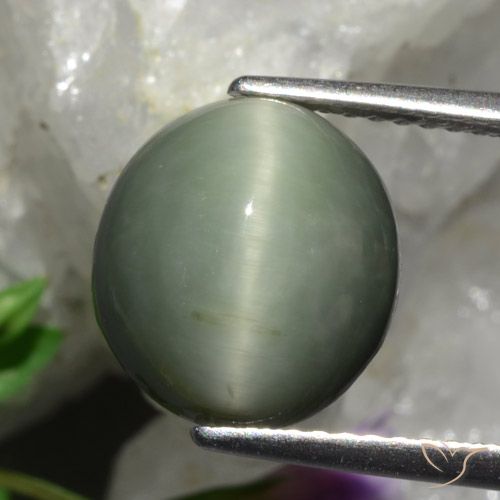 5.48ct Натуральный Средний серый Кварц Кошачий Глаз, Овал, Непрозрачный