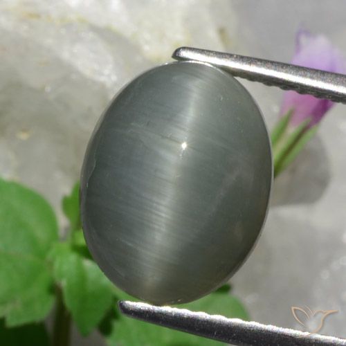 4.89ct Натуральный Средний серый Кварц Кошачий глаз, Овал, Непрозрачный