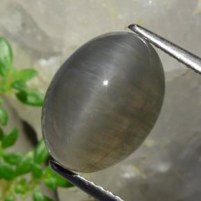 Натуральный коричневый quartz cat's eye 5,37 карата огранка овал, полупрозрачный