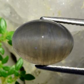 Натуральный коричневый quartz cat's eye 5,37 карата огранка овал, полупрозрачный