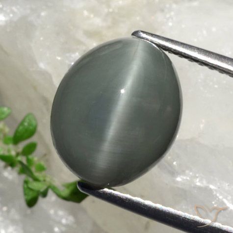 6.17 карата, натуральный Зеленовато-серый Кварц Кошачий глаз, Огранка Овал, Непрозрачный