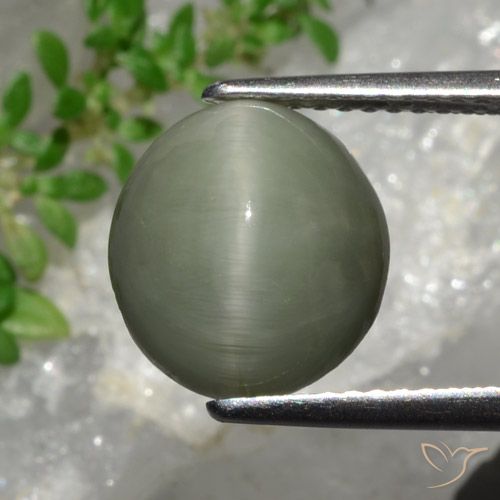 4.44ct Натуральный Серо-зеленый Кварц Кошачий Глаз, Овал, Непрозрачный