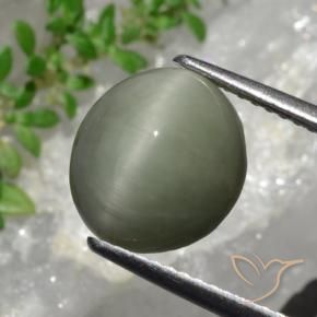 4.44 карата, натуральный Серо-зеленый Кварц Кошачий глаз, Овал, Непрозрачный