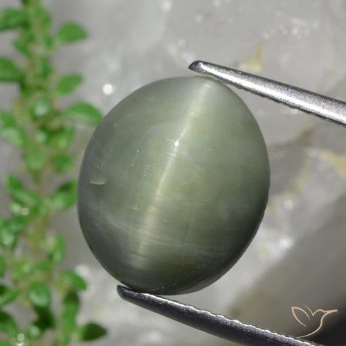 6.13ct Натуральный Средний зеленый Кварц Кошачий Глаз, Овал, Непрозрачный