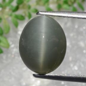 3.22 карата, натуральный Зеленовато-серый Кварц Кошачий глаз, Огранка Овал, Непрозрачный