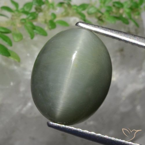 5.82ct Натуральный Средний зеленый Кварц Кошачий Глаз, Овал, Непрозрачный