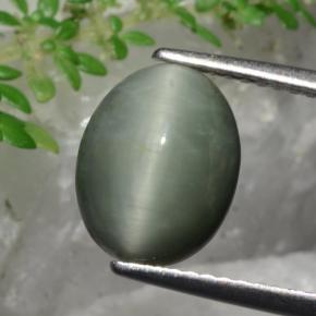 3.36 карата, натуральный Зеленый Кварц Кошачий глаз, Огранка Овал, Непрозрачный