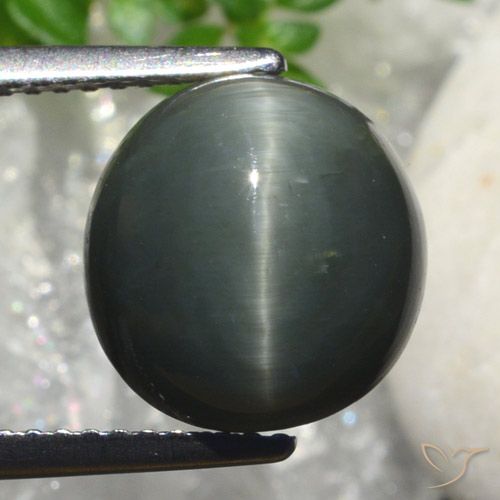6.82ct Натуральный Темно-серый Кварц Кошачий Глаз, Овал, Непрозрачный