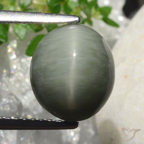4.18ct Натуральный Средний серый Кварц Кошачий глаз, Овал, Непрозрачный