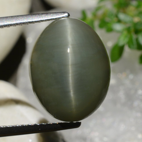 8.34 карата, натуральный Теплый зеленый Кварц Кошачий глаз, Огранка Овал, Непрозрачный