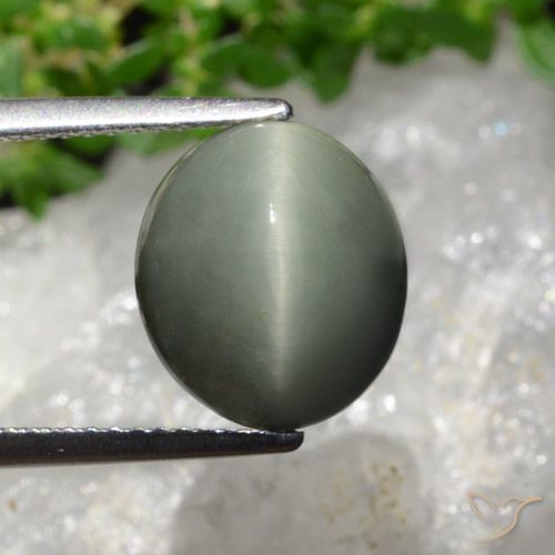 6.02ct Натуральный Зеленовато-серый Кварц Кошачий Глаз, Овал, Непрозрачный