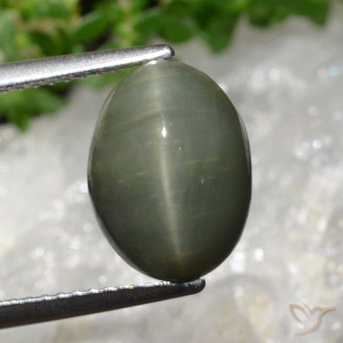 5.98ct Натуральный Средний зеленый Кварц Кошачий Глаз, Овал, Непрозрачный