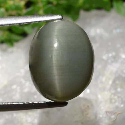 8.13ct Натуральный Серо-зеленый Кварц Кошачий Глаз, Овал, Непрозрачный