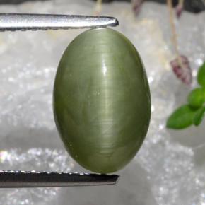 3.88 карата, натуральный Средний зеленый Кварц Кошачий глаз, Огранка Овал, Непрозрачный