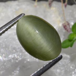 3.88 карата, натуральный Средний зеленый Кварц Кошачий глаз, Огранка Овал, Непрозрачный