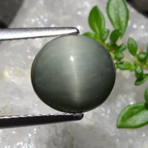 2.83 карата, натуральный Средний серый Кварц Кошачий глаз, Огранка Овал, Непрозрачный