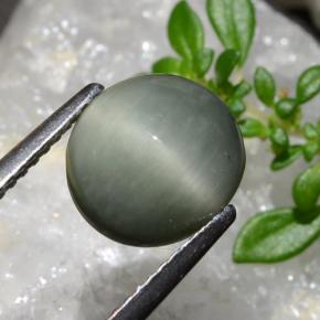 2.83 карата, натуральный Средний серый Кварц Кошачий глаз, Огранка Овал, Непрозрачный