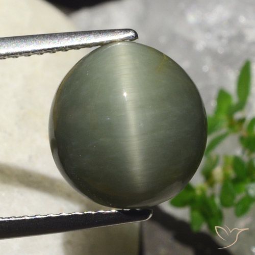 6.23ct Натуральный Теплый зеленый Кварц Кошачий Глаз, Овал, Непрозрачный