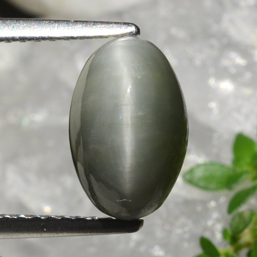 2.99 карата, натуральный Средний серый Кварц Кошачий глаз, Огранка Овал, Непрозрачный