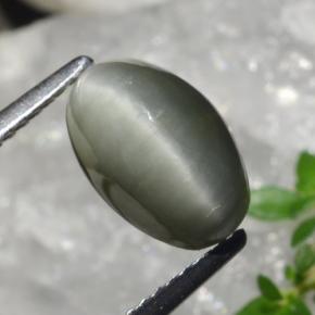 2.99 карата, натуральный Средний серый Кварц Кошачий глаз, Огранка Овал, Непрозрачный