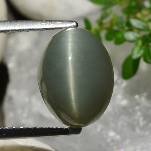 4.96 карата, натуральный Зеленовато-серый Кварц Кошачий глаз, Огранка Овал, Непрозрачный
