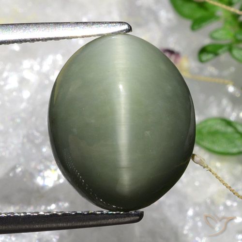 5.84ct Натуральный Серовато-зеленый мох Кварц Кошачий Глаз, Овал, Непрозрачный
