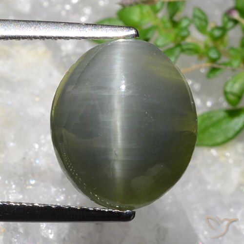 5.35ct Натуральный Зеленовато-серый Кварц Кошачий Глаз, Овал, Непрозрачный